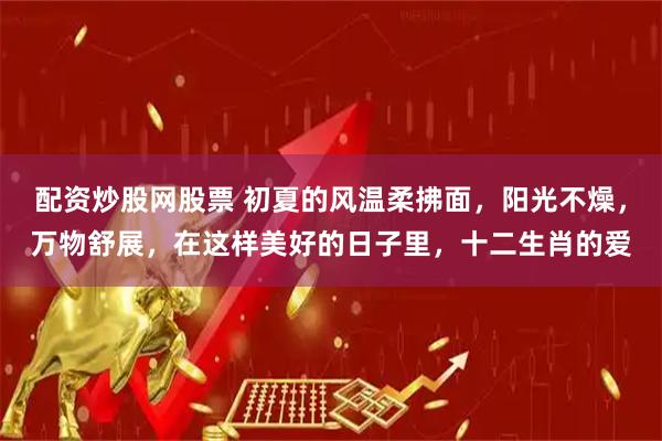 配资炒股网股票 初夏的风温柔拂面，阳光不燥，万物舒展，在这样美好的日子里，十二生肖的爱