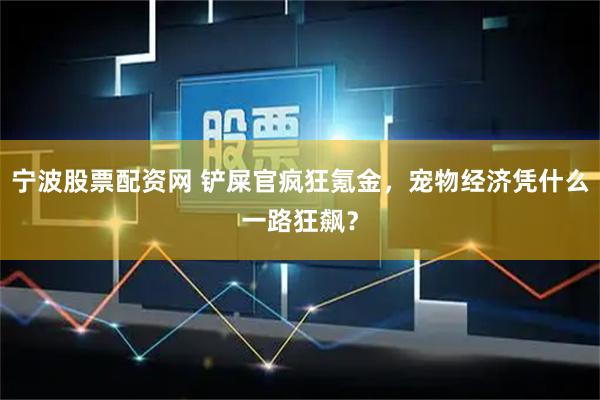 宁波股票配资网 铲屎官疯狂氪金，宠物经济凭什么一路狂飙？