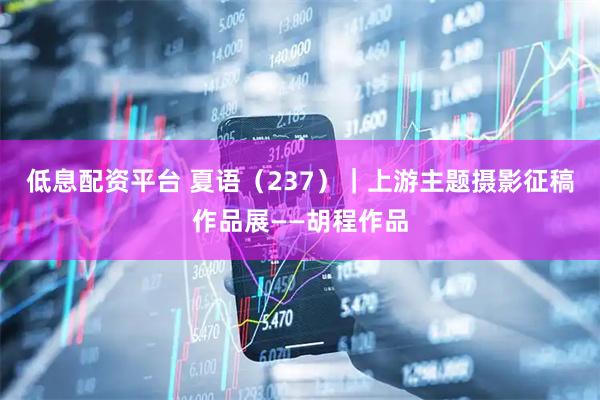 低息配资平台 夏语（237）｜上游主题摄影征稿作品展——胡程作品